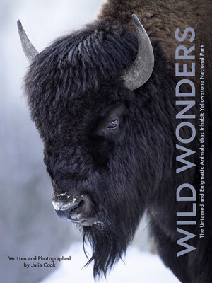 cover image of Wild Wonders